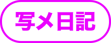 写メ日記可の説明